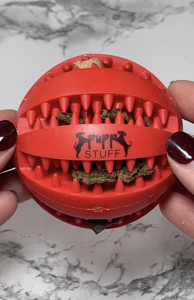 Pupp Stuff Chew Ball with treats